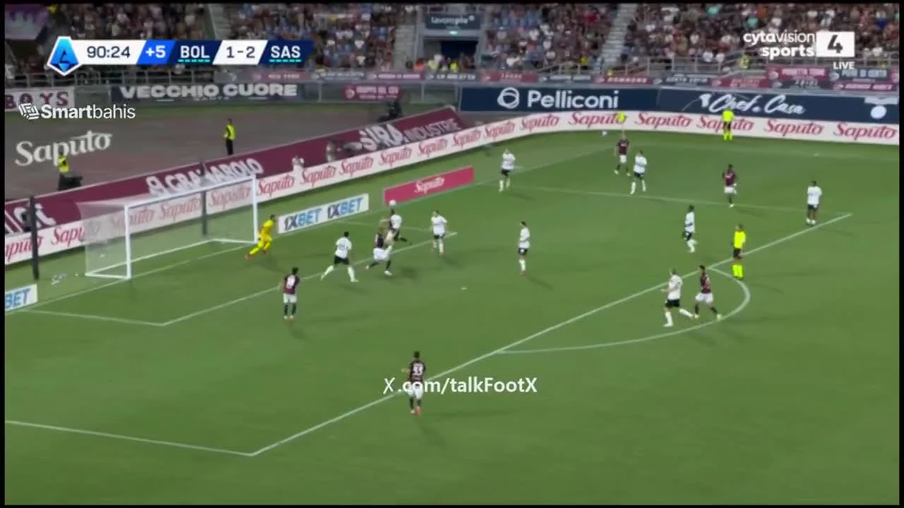 zaslepka skrotu video