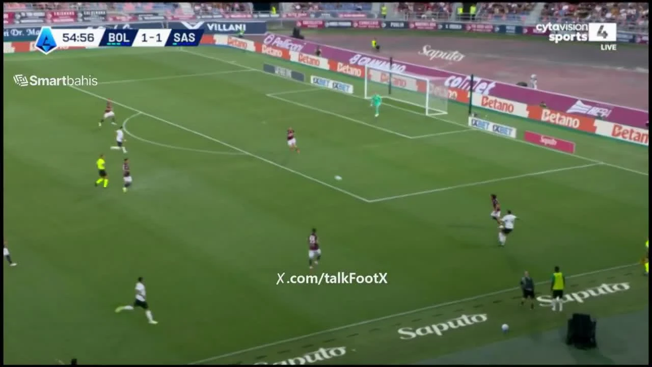 zaslepka skrotu video