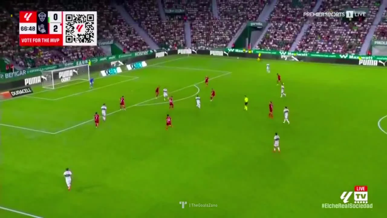 zaslepka skrotu video
