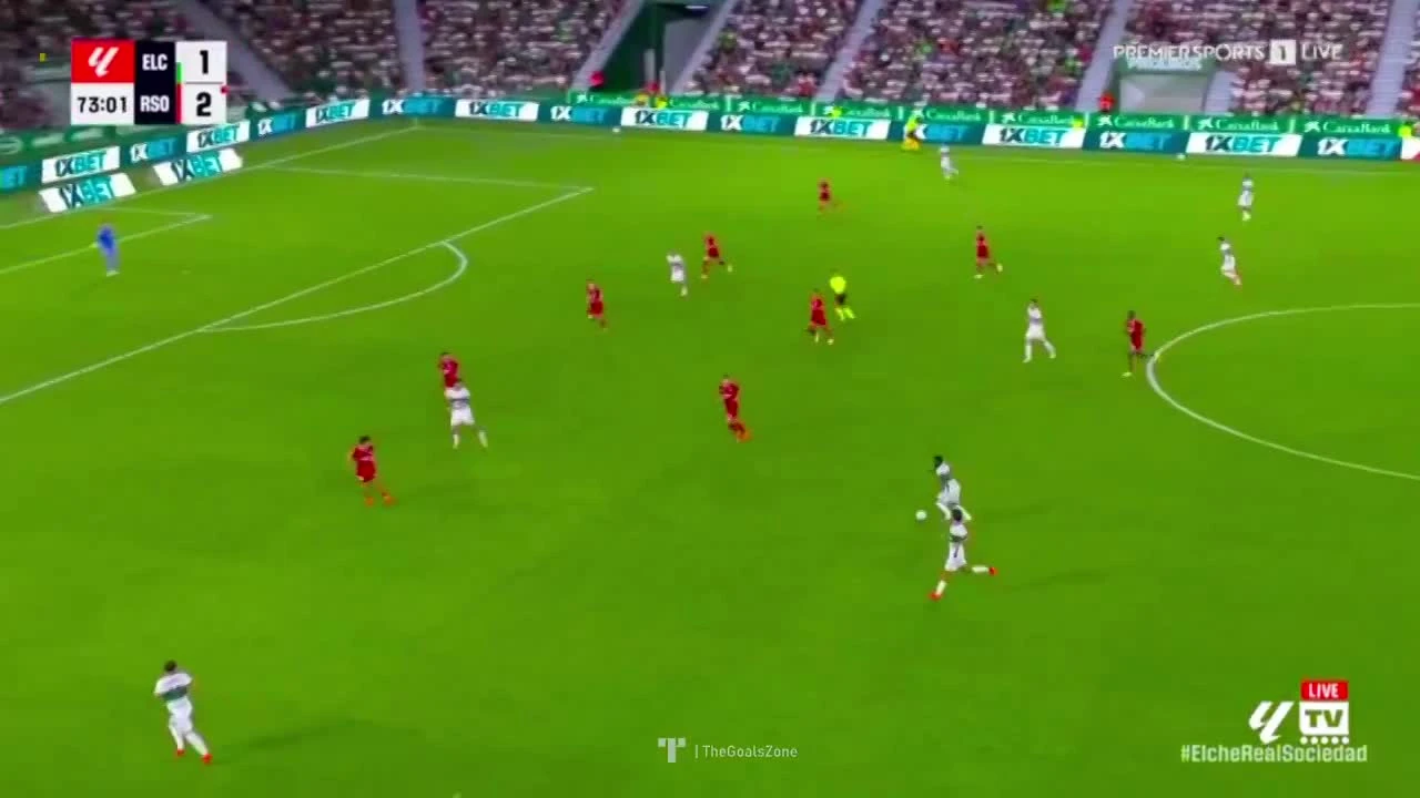 zaslepka skrotu video