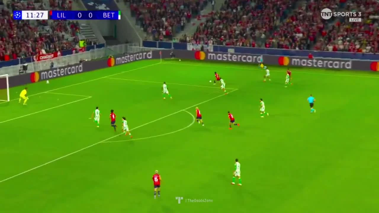 zaslepka skrotu video