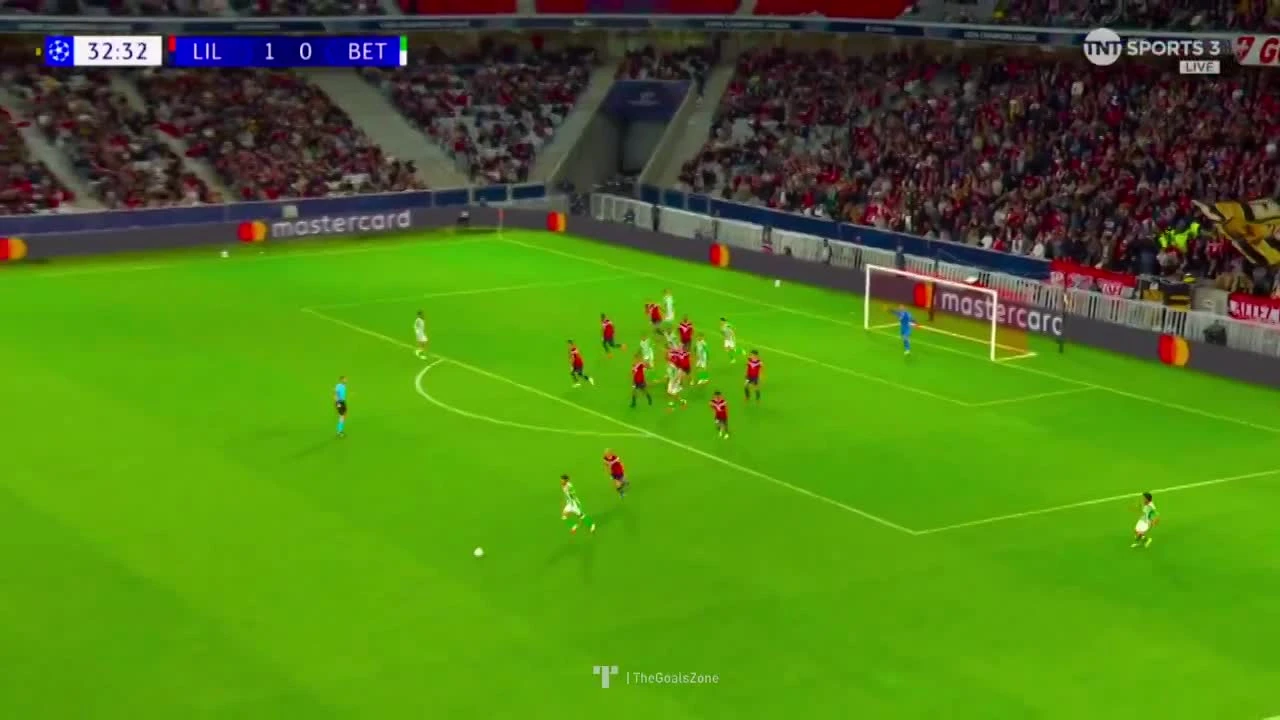 zaslepka skrotu video