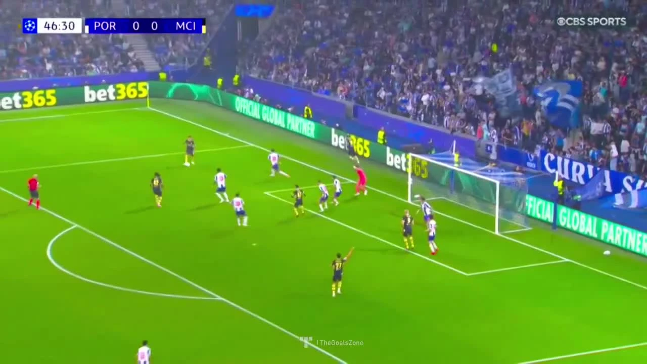 zaslepka skrotu video