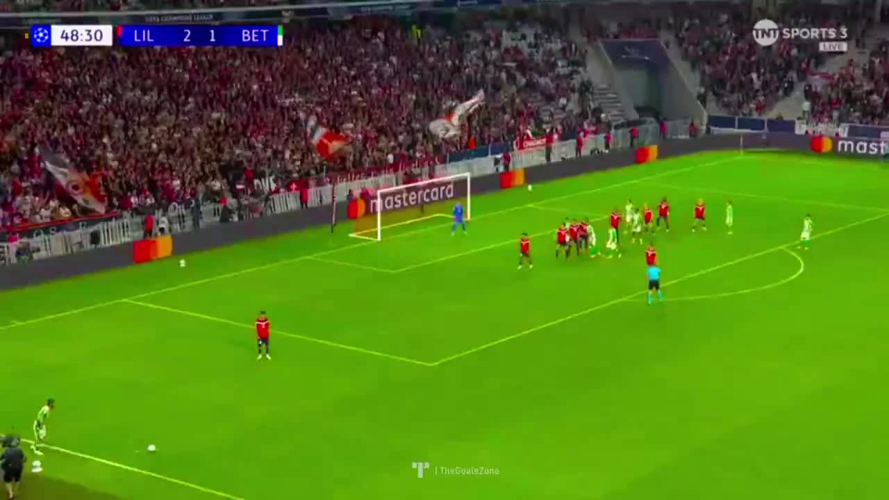 zaslepka skrotu video