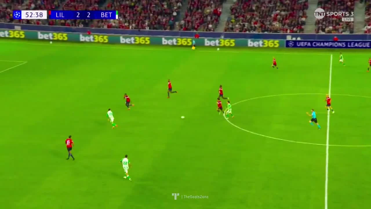 zaslepka skrotu video