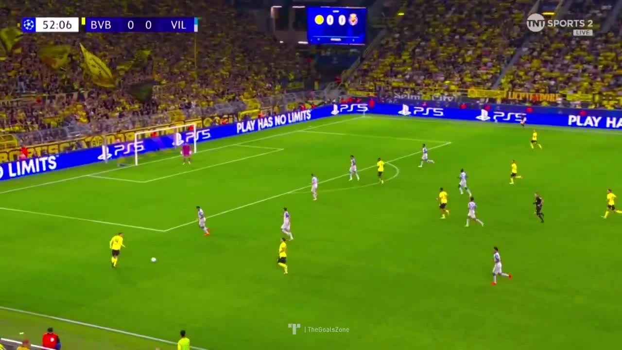zaslepka skrotu video