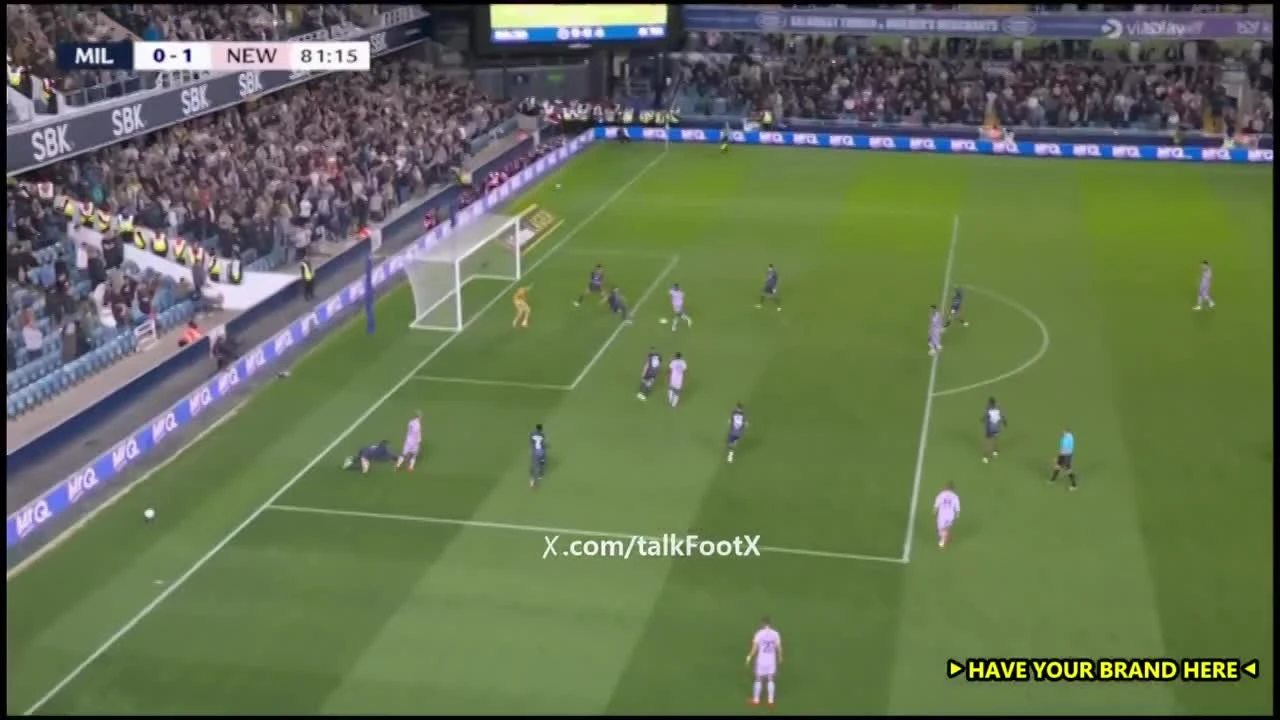 zaslepka skrotu video