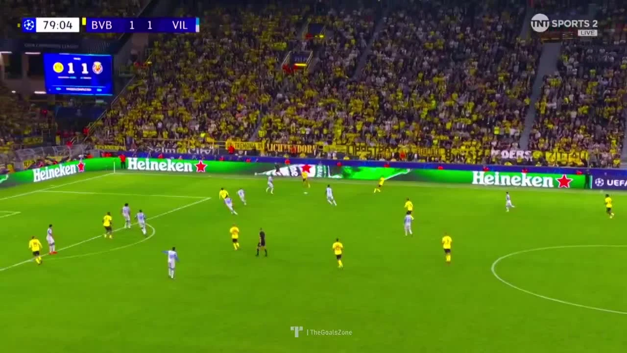 zaslepka skrotu video