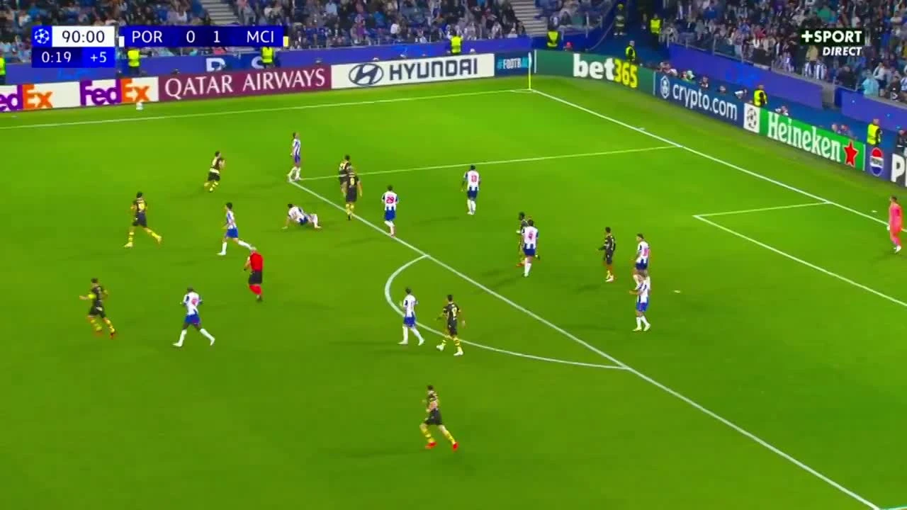 zaslepka skrotu video