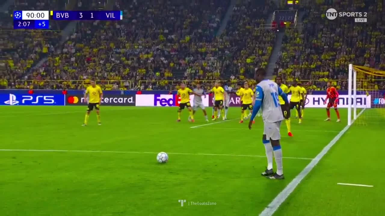 zaslepka skrotu video