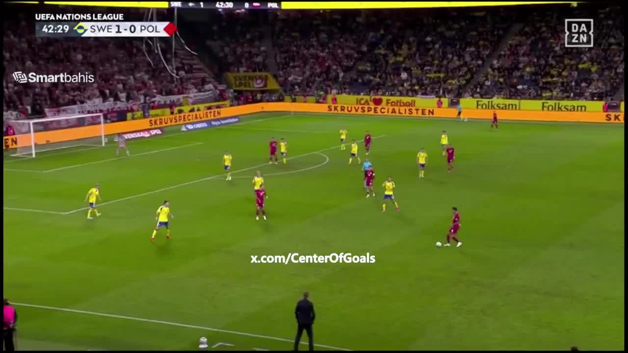 zaslepka skrotu video