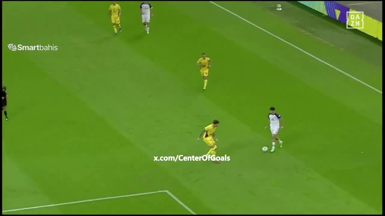 zaslepka skrotu video