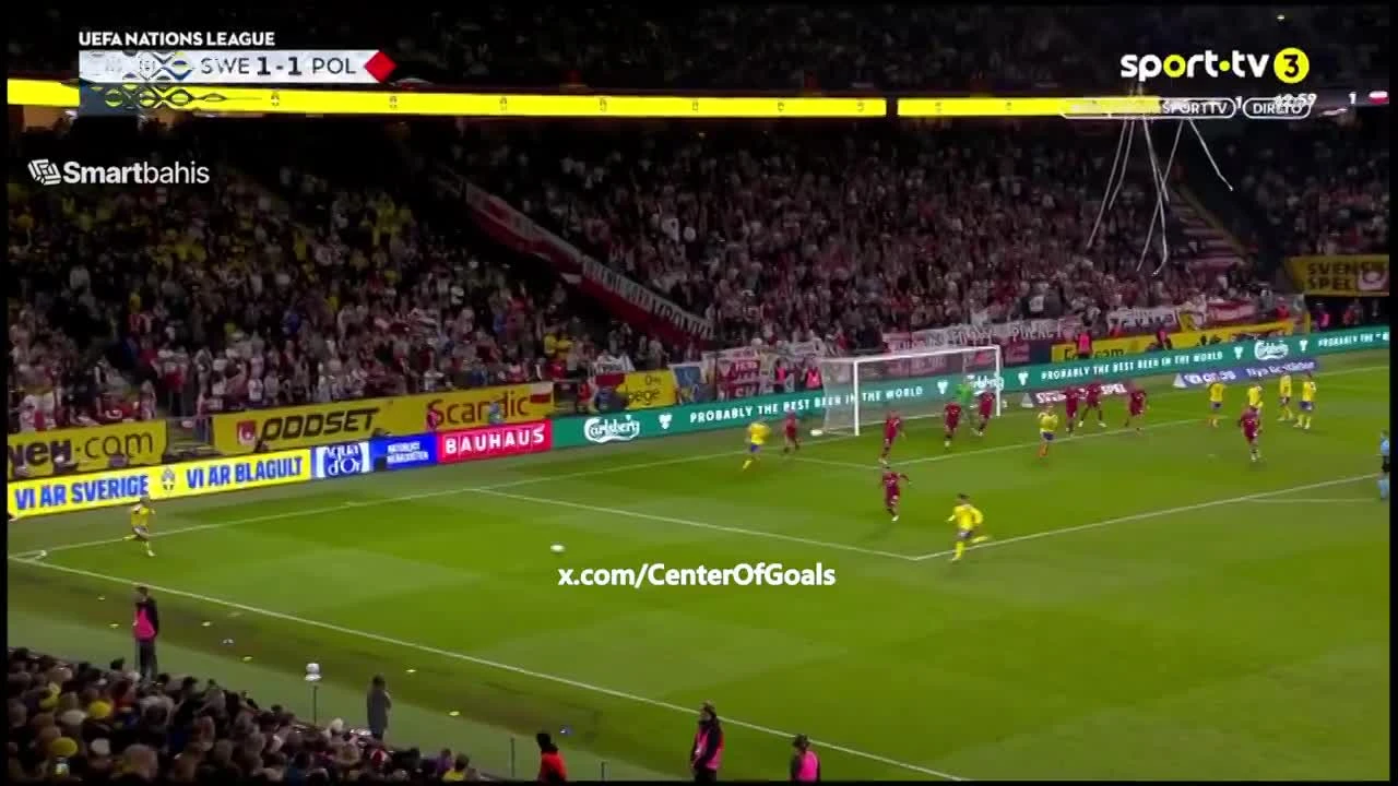 zaslepka skrotu video