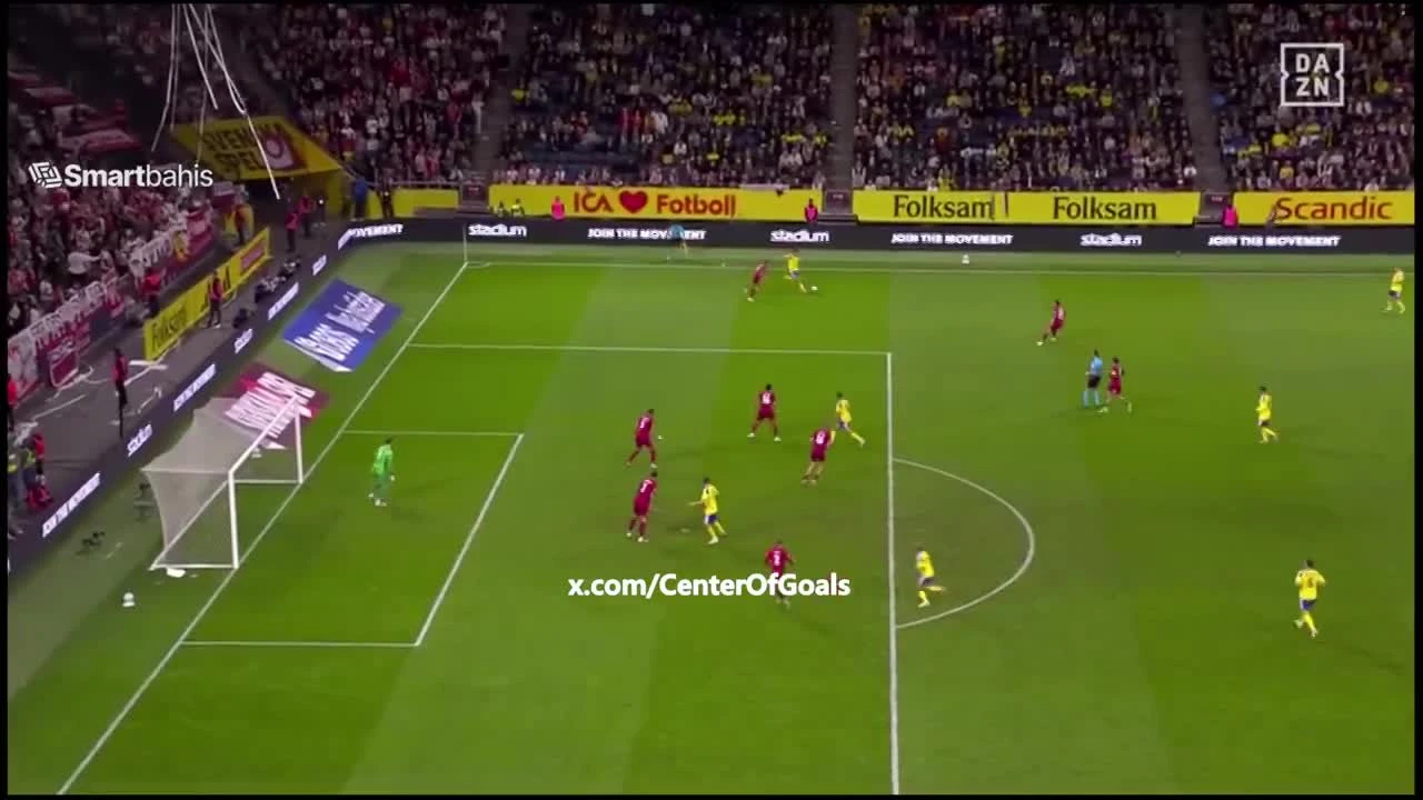 zaslepka skrotu video