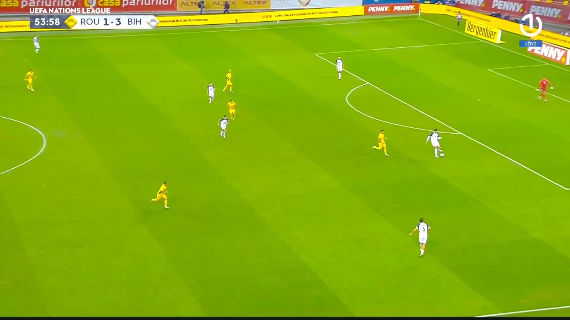 zaslepka skrotu video