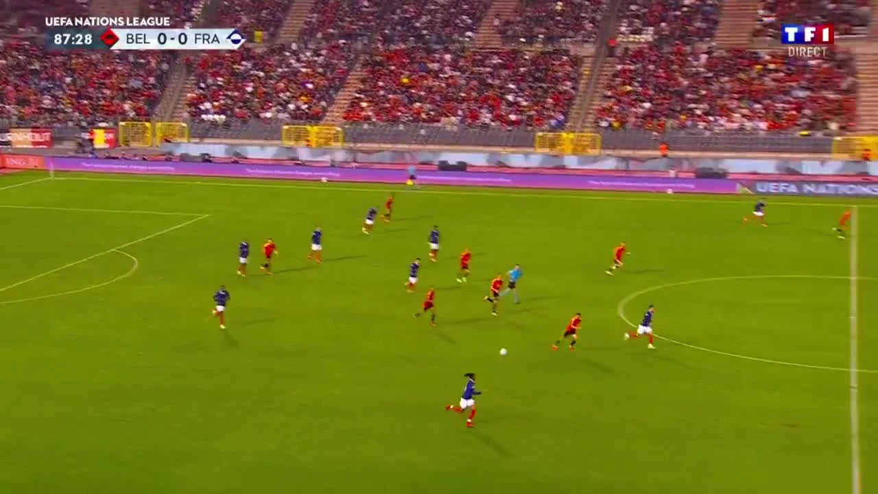 zaslepka skrotu video