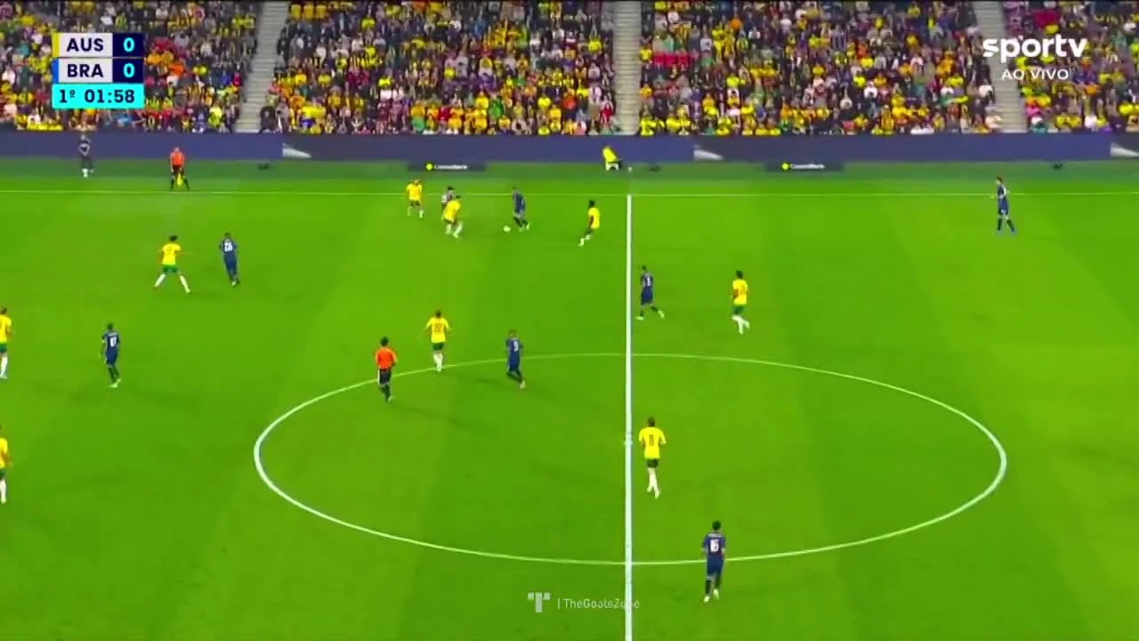 zaslepka skrotu video