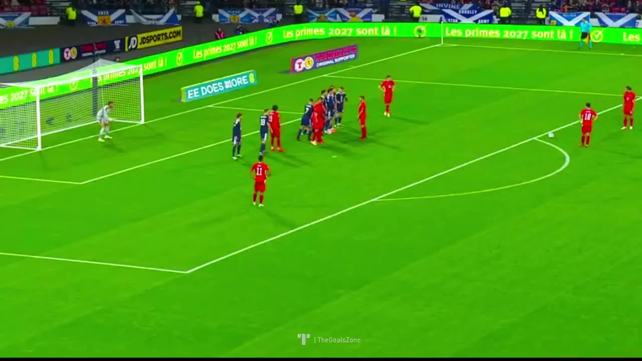 zaslepka skrotu video