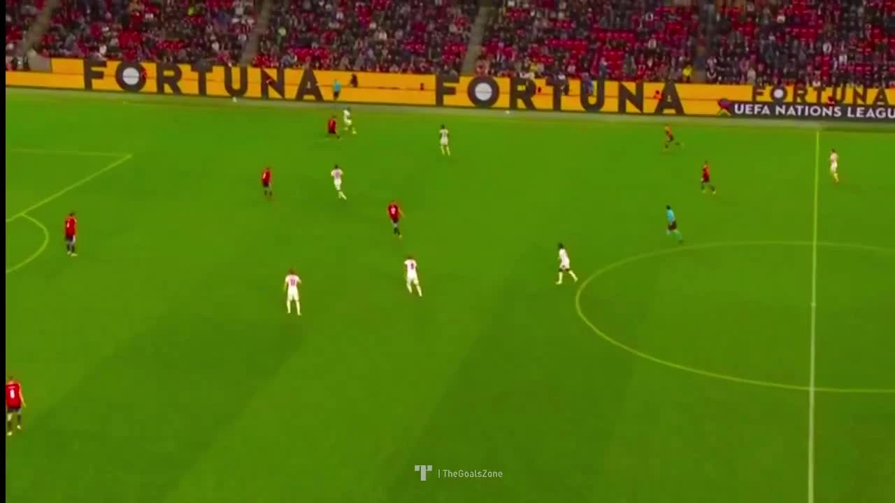 zaslepka skrotu video