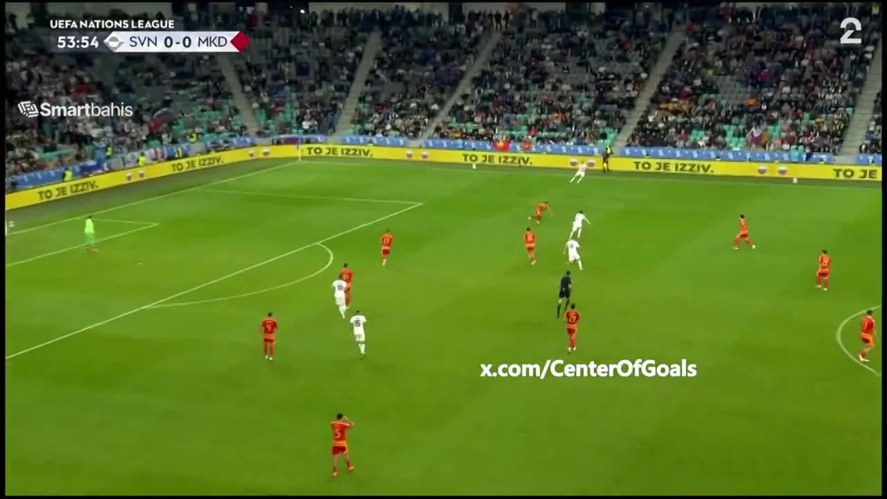 zaslepka skrotu video