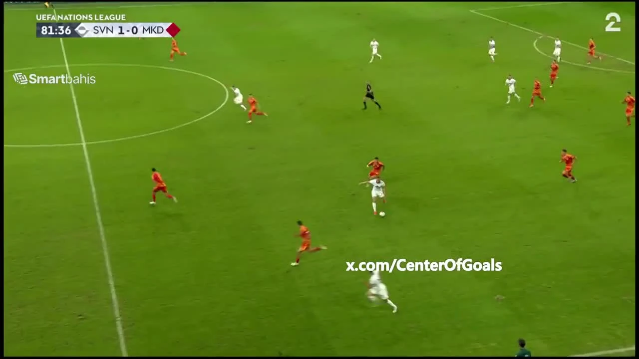 zaslepka skrotu video