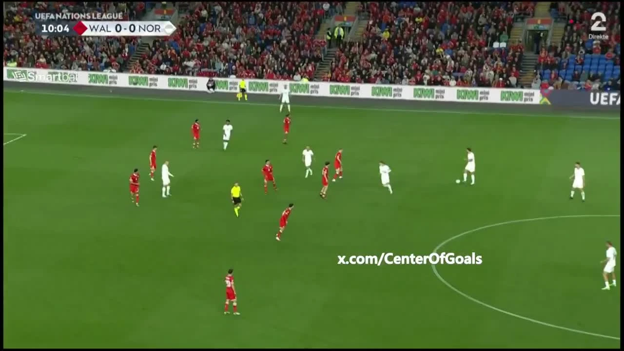 zaslepka skrotu video
