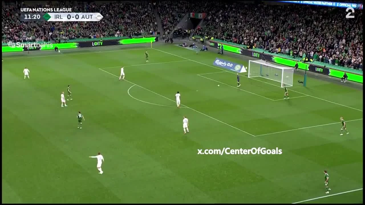 zaslepka skrotu video