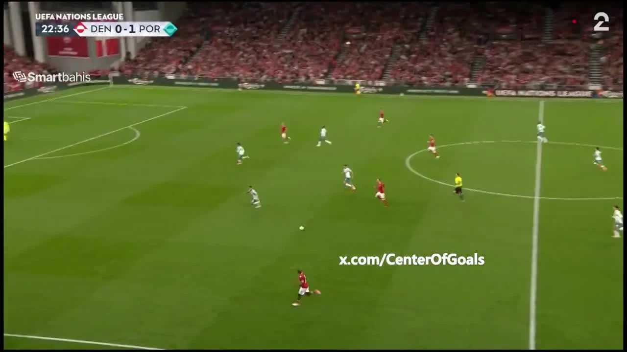 zaslepka skrotu video
