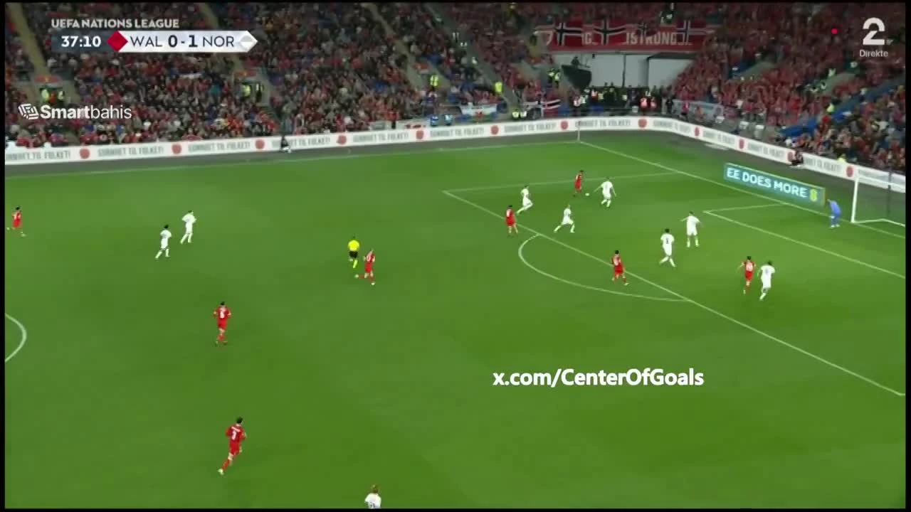 zaslepka skrotu video