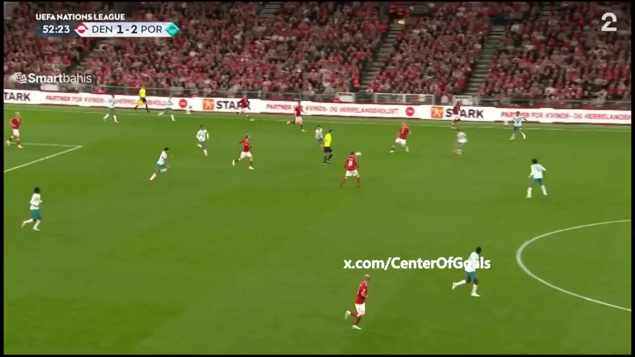 zaslepka skrotu video