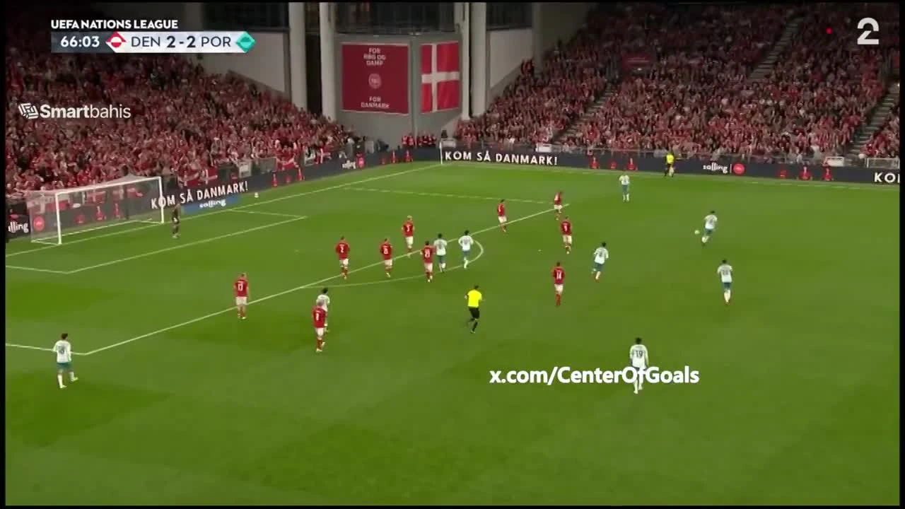 zaslepka skrotu video