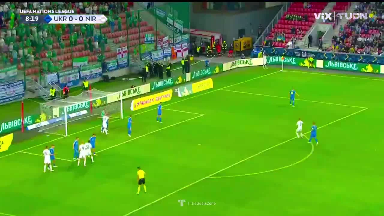 zaslepka skrotu video