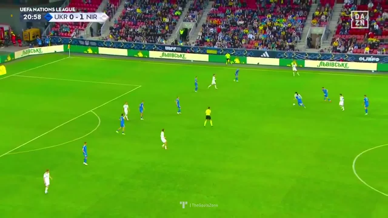 zaslepka skrotu video