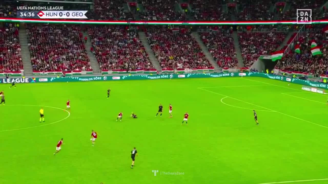 zaslepka skrotu video