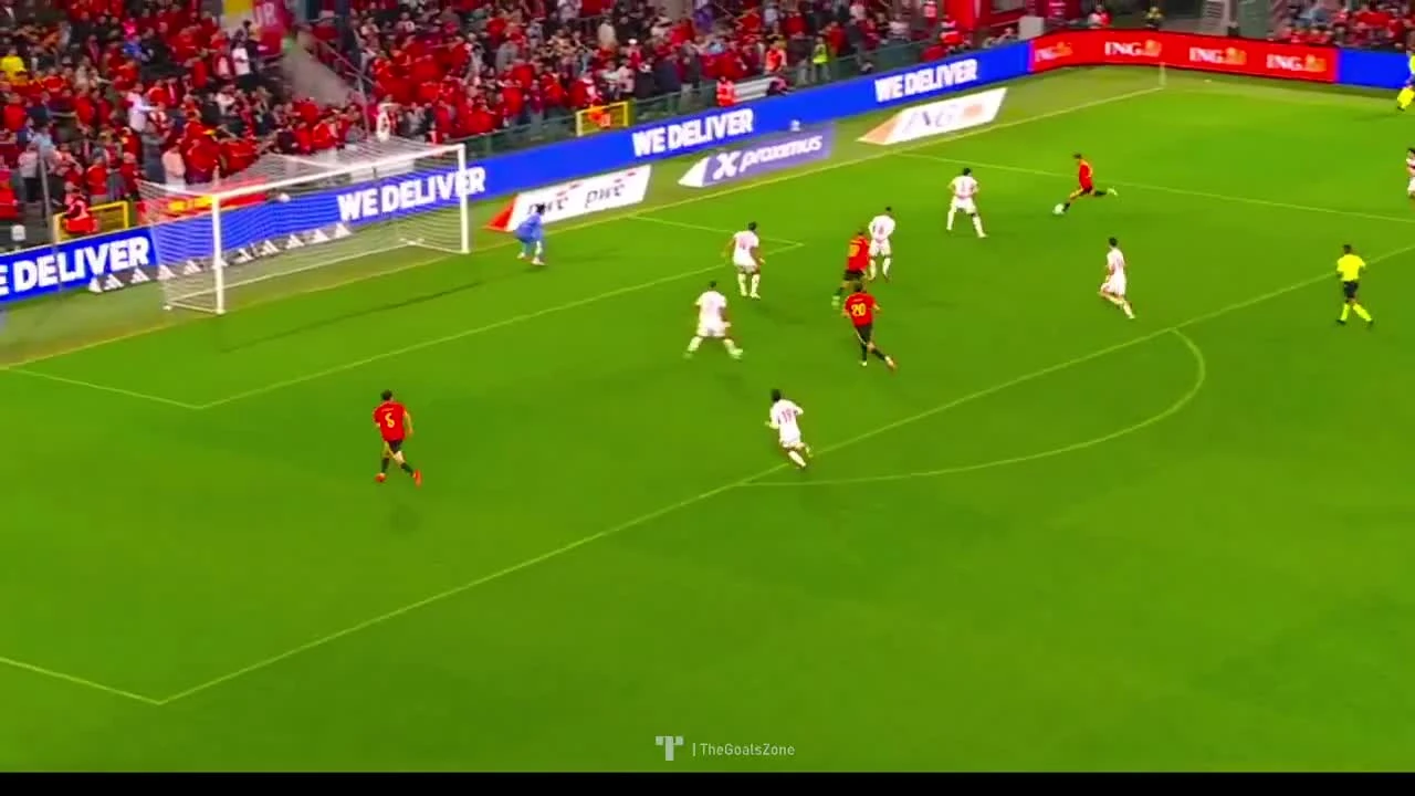 zaslepka skrotu video