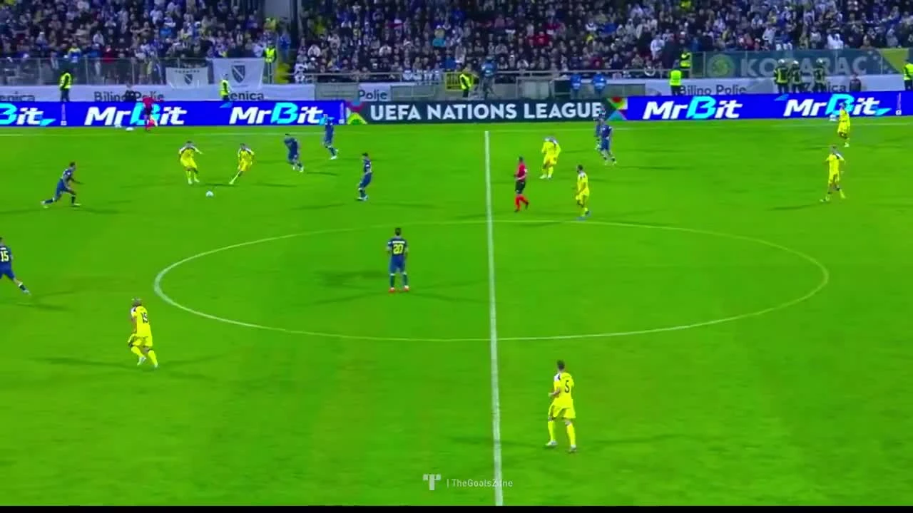 zaslepka skrotu video