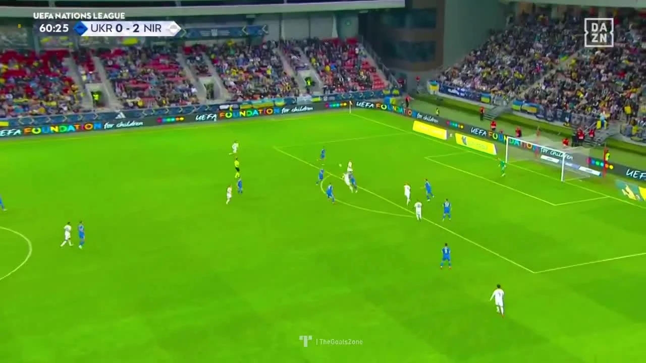 zaslepka skrotu video