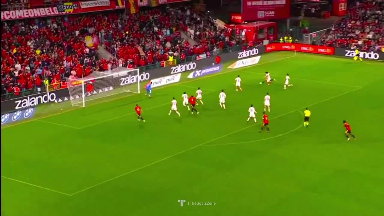 zaslepka skrotu video