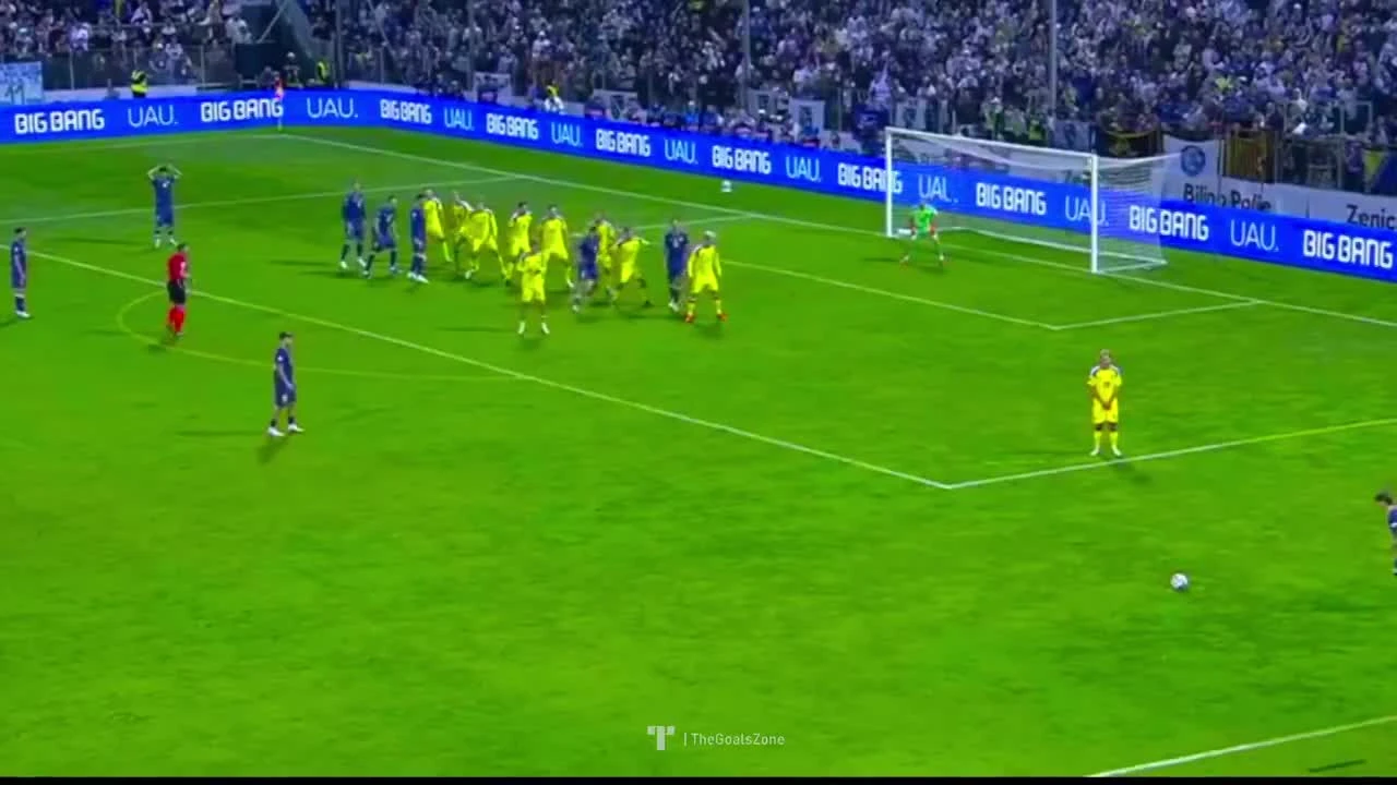 zaslepka skrotu video