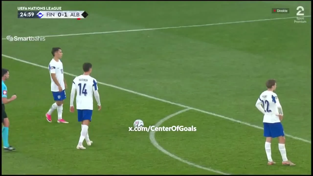 zaslepka skrotu video