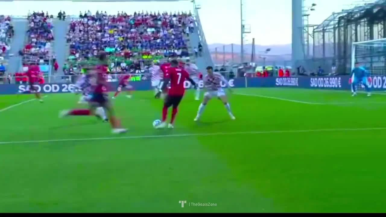 zaslepka skrotu video