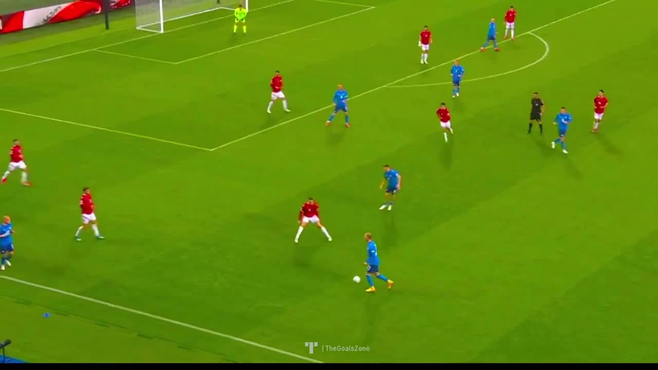 zaslepka skrotu video