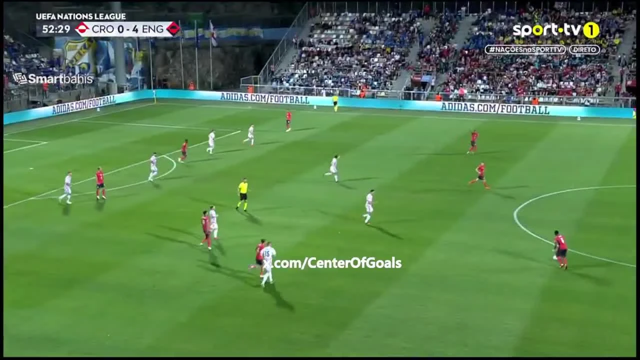zaslepka skrotu video