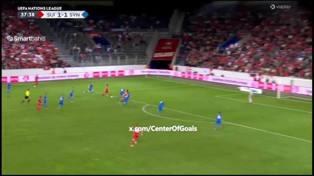 zaslepka skrotu video