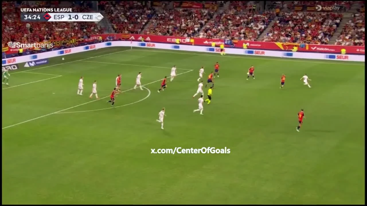 zaslepka skrotu video