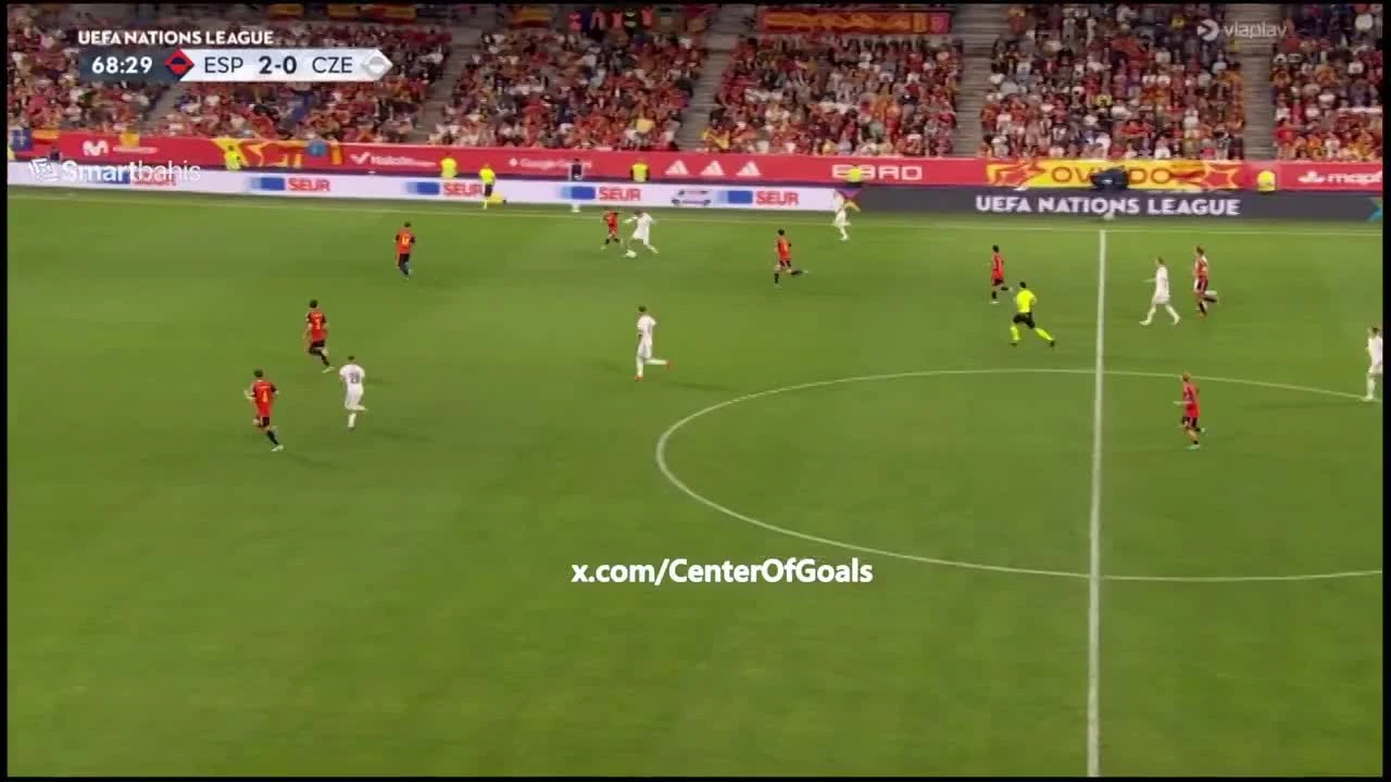 zaslepka skrotu video