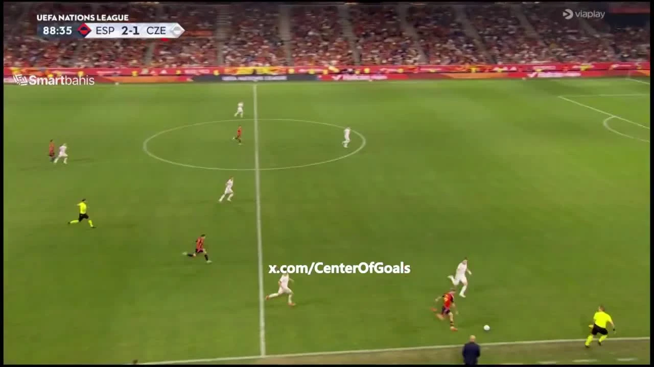 zaslepka skrotu video