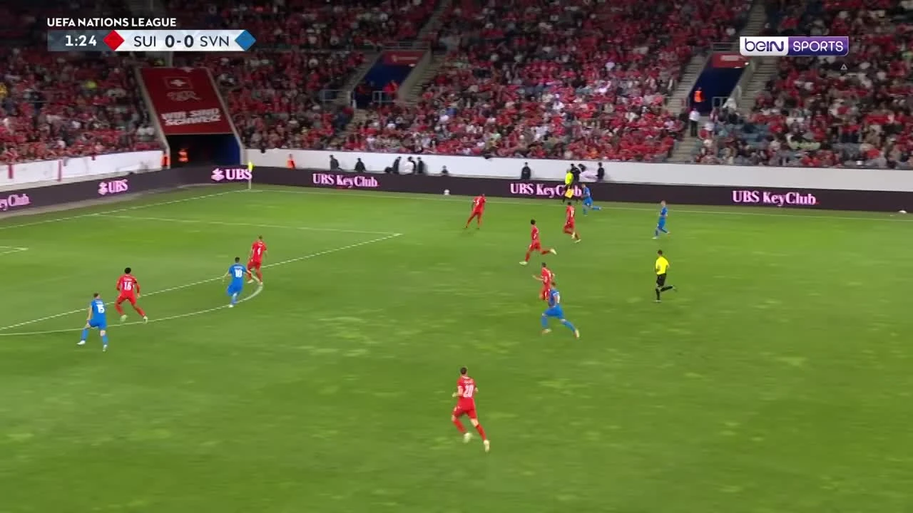 zaslepka skrotu video