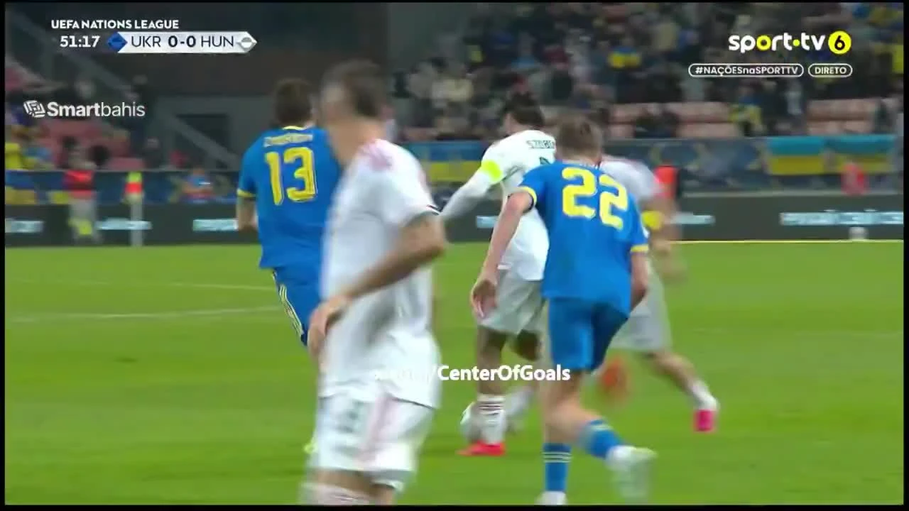 zaslepka skrotu video