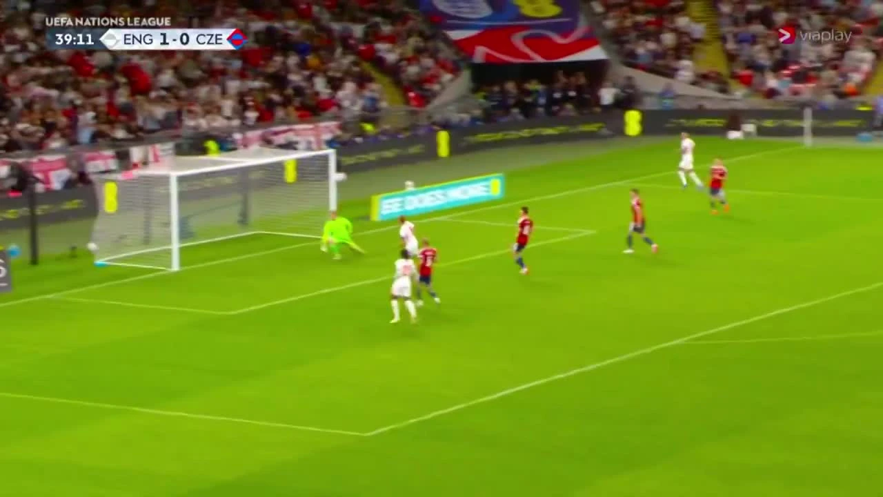 zaslepka skrotu video